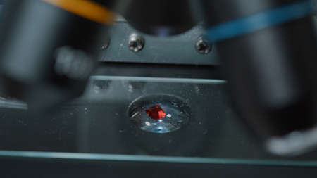 Micro pipette dropping blood sample on microscope tray to do genetic analysis in science laboratory....