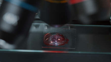 Microscope with optical lens examining blood sample in laboratory. Scientist using microscopic tool...