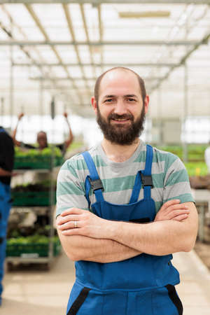 Portrait of smiling man posing with arms crossed in modern greenhouse with crates of fresh lettuce ready for delivery to supermarket. Organic farm worker posing happy in bio vegetables local business.の写真素材