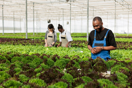 Farm worker happy to see the non GMO vegetable plantation crop yields organically growing in fresh...
