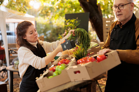 Senior adult and young person selling healthy farm produce, preparing stand with fruits and vegetables for clients. Farmers working at local market to help clients with organic products.の写真素材