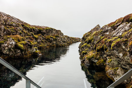 Water stream in icelandic national park with nordic vegetation and amazing landscapes, thingvellir cold scenery. Scenic route in iceland countryside with clear river, sightseeing destination.の写真素材