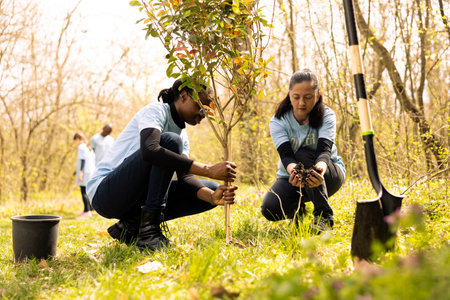 Team of environmentalists digging holes and planting greenery, installing trees in the ground for reforestation. People doing voluntary work to support conservation project, save the planet.の写真素材