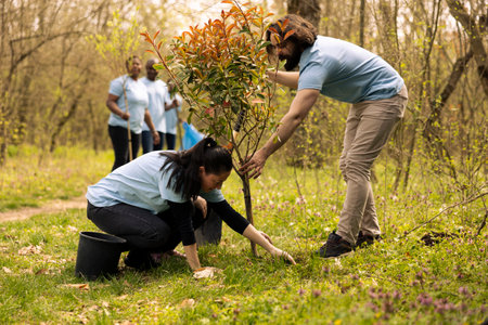 Team of environmentalist taking action to preserve natural habitat, planting trees for reforestation. Activists covering holes in the ground with seedlings, increasing vegetation in the forest.の写真素材