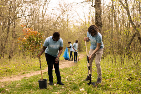 Group of activists working with shovel to plant new seedlings around the forest, digging up holes and installing trees seeds for nature conservation project. Diverse team take action.の写真素材