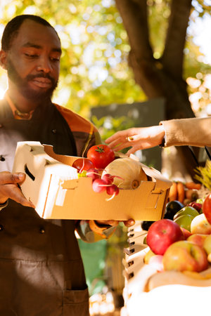 Detailed view of young black man with an apron, carrying box full of homegrown organic food products at farmers market. African American merchant displaying various fresh fruits and veggies.の写真素材