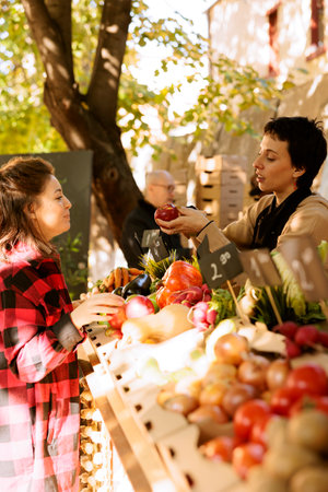 Youthful woman vendor selling natural organic apples to female client and standing behind greenmarket stand. Local farmer showing fruits and vegetables to customer, promoting healthy lifestyle.の写真素材