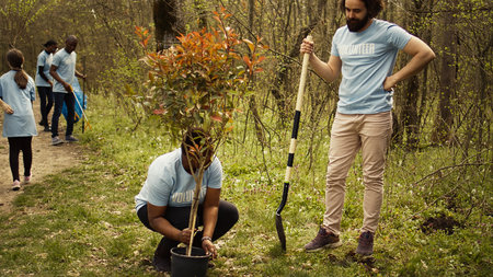 Diverse volunteers team digging holes to plant trees in the woods, working together in unity to protect the environment and preserve natural forest habitat. Activists conserve ecosystem. Camera B.の写真素材