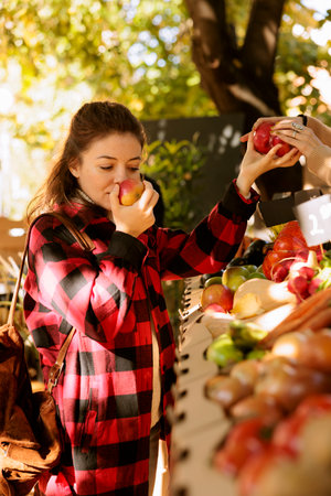 Buyer standing near market stall choosing locally grown fresh organic fruits and vegetables, female client smelling apples and shopping at a farmers market. Attending a harvest fair festival.の写真素材