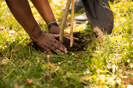Environmentalists team planting a tree in the forest area, digging holes to cultivate life and increase vegetation. Activists fighting for ecological justice, environmental conservation project.の写真素材