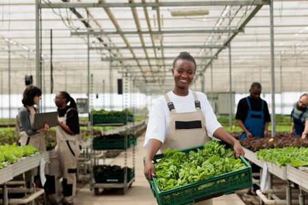 Happy smiling african american farm worker holding crate full of local bio natural ripe vegetables...