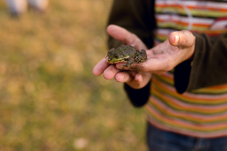 A dirty little boy who has been playing outside is holding a little frog in his hands.の写真素材