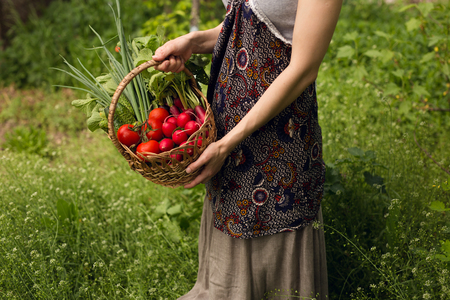 A young woman holding in hands a basket with assorted organic fresh vegetables, on a beautiful green garden background.の写真素材