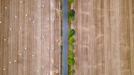 Aerial view of harvested grains on a farm fieldの写真素材