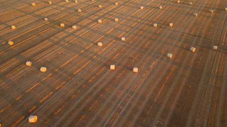 Aerial view of harvested grains on a farm field
