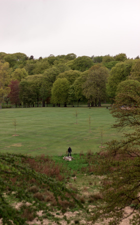 Man Standing on a Tree Stump in a Parkの写真素材