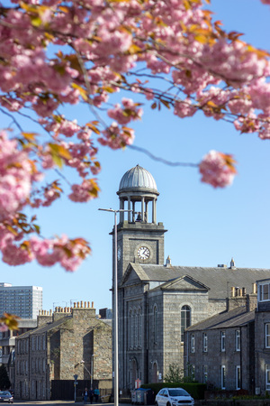 Colourful Blossom and church, Aberdeen, Scotlandの写真素材