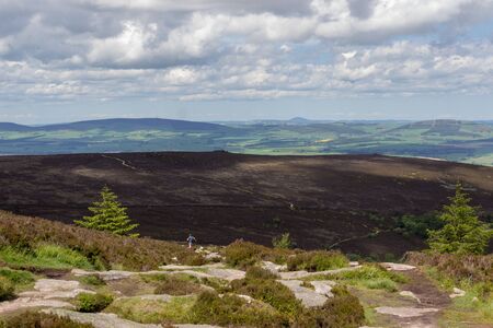 Landscape of the side of Bennachie, Scotland