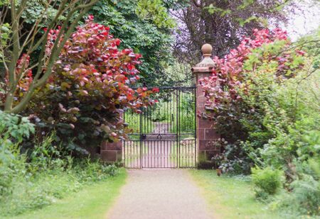 Metal park gate surrounded by colorful foliageの写真素材