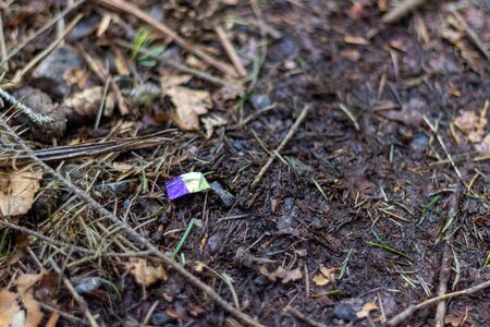 Piece of colored foil on the forest floorの写真素材