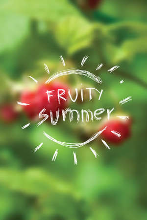 Summer vector background with red raspberriesのイラスト素材