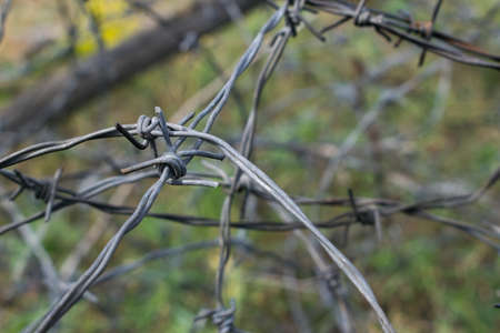 Old weathered barbwire on the battlefield
