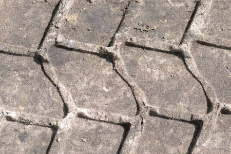 Track of a heavy truck tire on the wet ground surfaceの写真素材