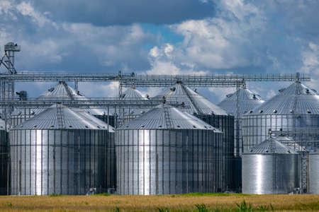 Grain elevator silos near the wheat fieldの写真素材