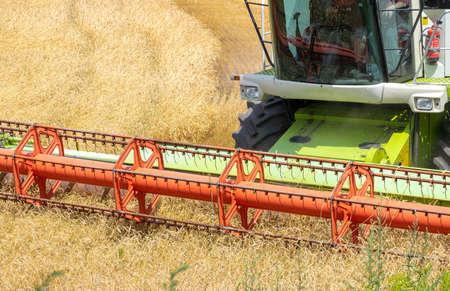 Harvester at work on the field harvesting ripe wheatの写真素材
