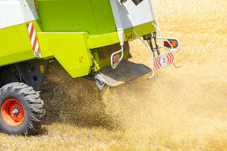 Harvester at work on the field harvesting ripe wheatの写真素材