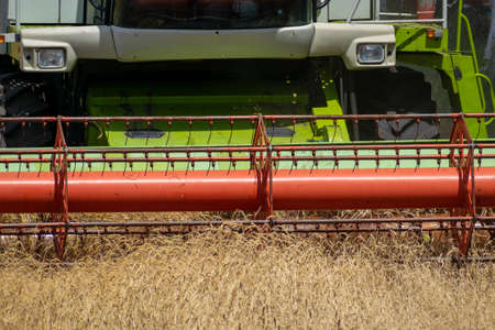 Harvester at work on the field harvesting ripe wheatの写真素材