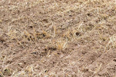 Freshly cultivated soil on the field background