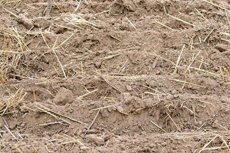Fresh soil tillage closeup background textureの写真素材