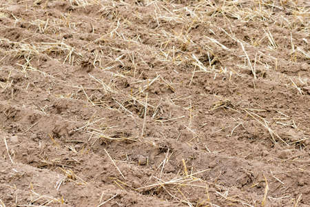 Freshly cultivated soil on the field closeupの写真素材