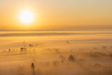 Sunrise in the valley with heavy fog on the groundの写真素材