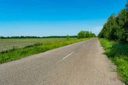 Lanscape with an empty asphalt country road vivid colorsの写真素材