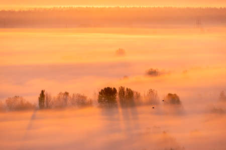 Fog over the land in the morning with pink colorsの写真素材