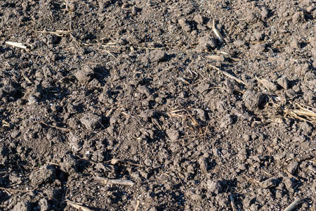 Soil on the field with mineral fertilizer closeupの写真素材