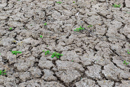 Dry eroded soil background texture