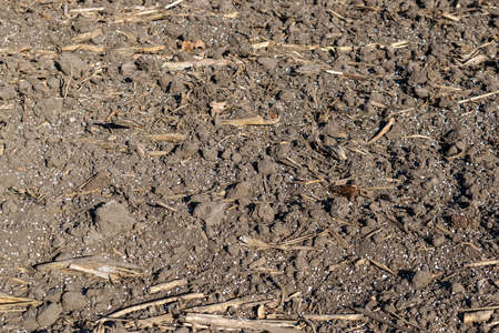 Field covered with chemical fertilizer closeupの写真素材