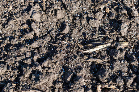 Soil on the field covered with chemical fertilizer closeup textureの写真素材