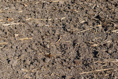 Field covered with chemical fertilizerの写真素材