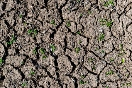 Dry soil erosion detailed texture backgroundの写真素材