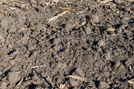 Soil on the field covered with mineral fertilizer pellets textureの写真素材
