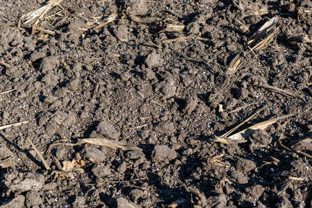 Soil on the field covered with chemical fertilizer pellets closeupの写真素材