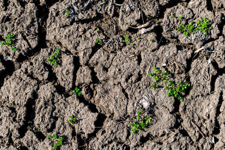 Dry eroded soil detailed closeup backgroundの写真素材