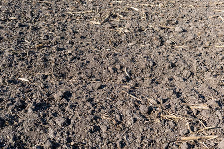 Soil on the field with mineral fertilizerの写真素材