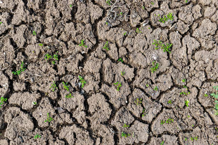 Dry soil erosion background texture closeupの写真素材