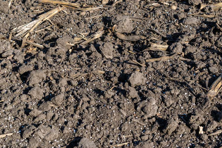 Soil on the field covered with mineral fertilizer pelletsの写真素材
