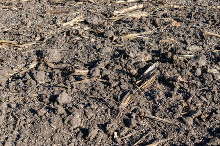 Soil on the field covered with fertilizer pellets textureの写真素材